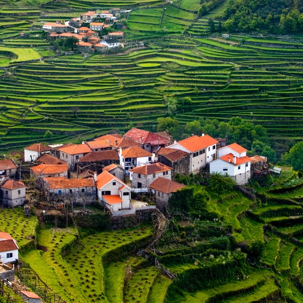 Visitors exploring vineyards in Douro Valley
